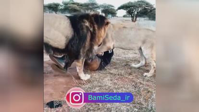 دانلود آهنگ هنوزم پرچمدار میدون نمه مجتبی جعفری