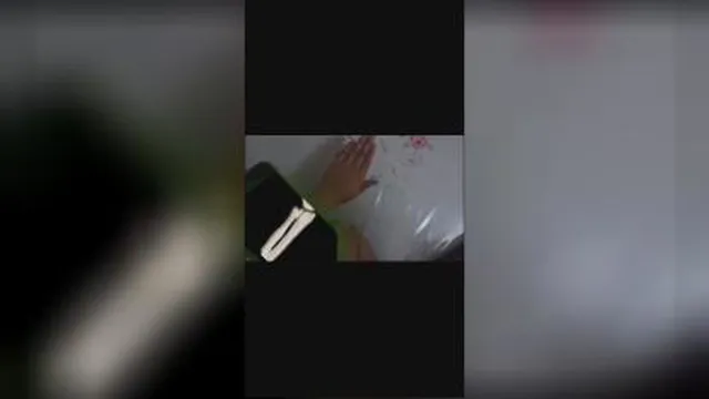 اسکلت