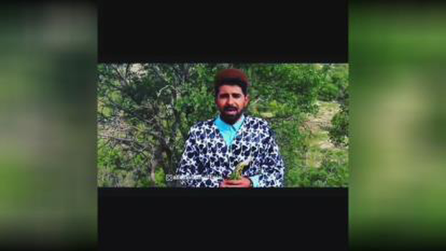 کلیپ لری