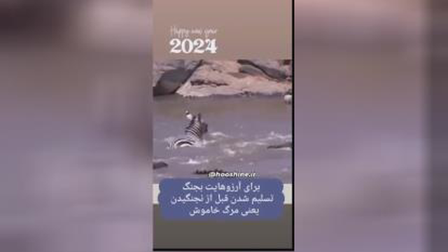 مبارزه