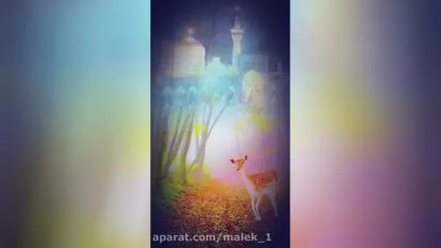 تیزر استوری / موشن استوری به مناسبت ولادت امام رضا علیه السلام