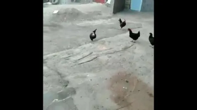 بورس