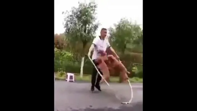 سگ های بامزه