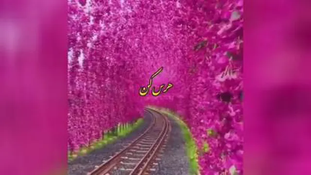 ترانه زیبا و محبوب چاووشی