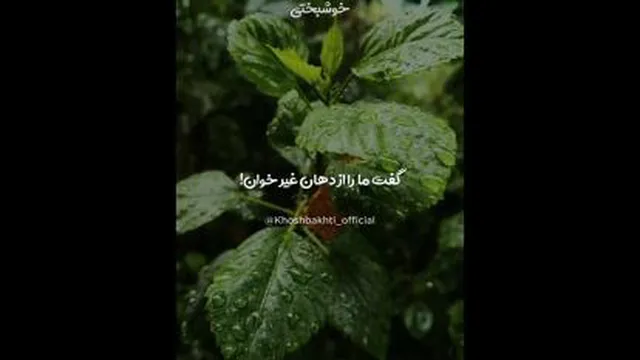 اینو نبینی پشیمون میشی.مولانا به خدا گفت مارا با دهان غیر دعا کن یعنی...!!!؟؟؟
