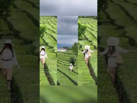 تابستان رو با گرما و شادی جشن بگیریم! 🍉🌻☀️