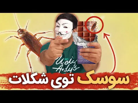 آیا حشرات و سوسک در شکلات واقعیت دارند؟ 🤪