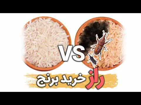راهنمای حرفه‌ای خرید برنج و ترفندها | برنج خریدن به سبک حرفه‌ای
