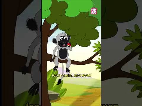 اهمیت درختان | حقایق جالب درباره درختان برای کودکان