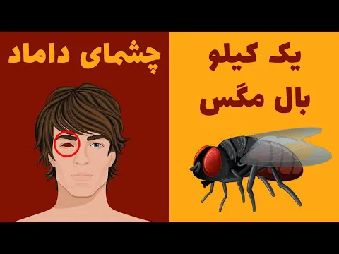 شگفت‌انگیزترین مهریه‌ها در ایران - کانال سیزده