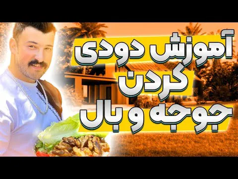 جوجه وبال دودی؛ طعمی متفاوت از جوجه‌کباب در دل طبیعت