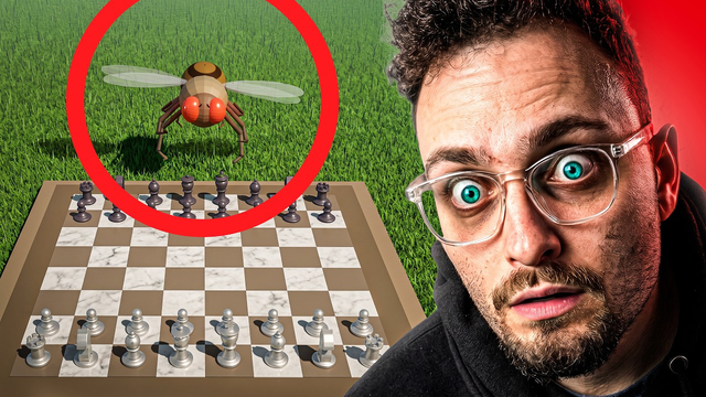 A Fly Can Now Play Chess. WHAT?