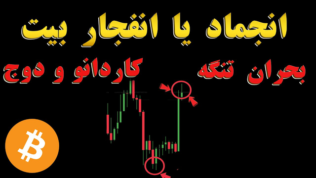 داده‌های تورمی آمریکا بازار رو تکون می‌دن؟ بررسی دوج و کاردانو