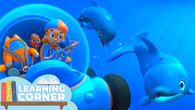 Learning how Dolphins Talk! 🐬 | Blippi Wonders | Learning Corner 📚 | Educational Videos For Kids