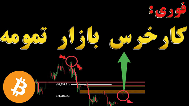 بیت کوین آماده‌ی ۲۰۰ هزار دلار؟ بول مارکت شروع شده!