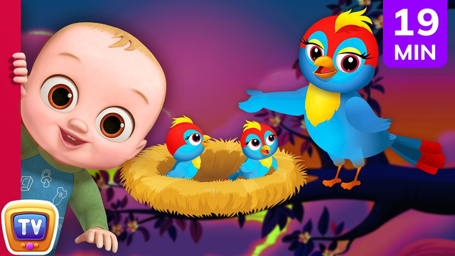 Animal Homes + Zoo Friends, Sea Otter, Blue Whale & Animal Songs | 19 Min | ChuChu TV