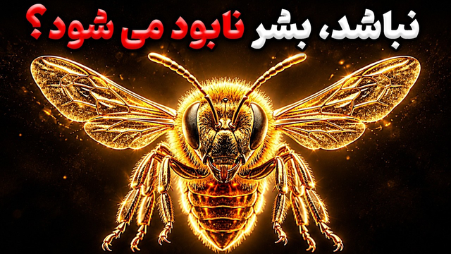 زنبور مهم ترین موجود روی زمین است !