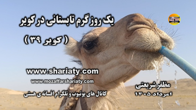 یک روز گرم تابستان در کویر