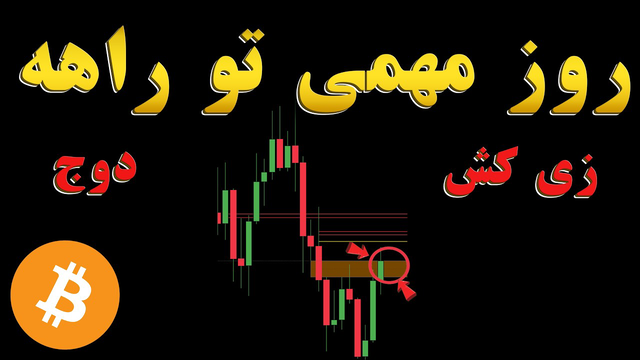 شروع بول‌مارکت نزدیکه؟ بیت‌کوین و چهار آلت‌کوین زیر ذره‌بین