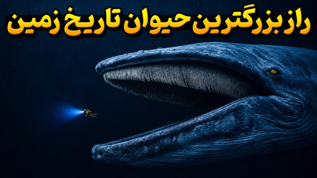چرا تمام اقیانوس باید از نهنگ‌ آبی بترسند؟