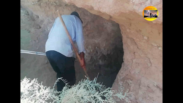 درخت کاری و قناتی متروکه در دل کویر