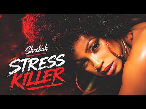 Sheebah - Stress Killer (dance video)