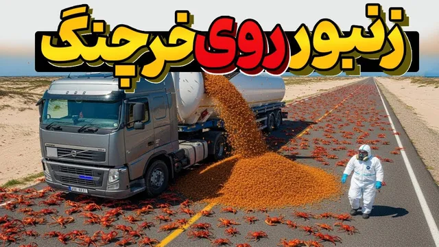 وقتی استرالیا میلیون‌ها سم مورچه را روی صد میلیون خرچنگ ریخت — پیامدهای شوک‌آور
