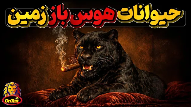 هوس‌بازترین حیوانات کره زمین