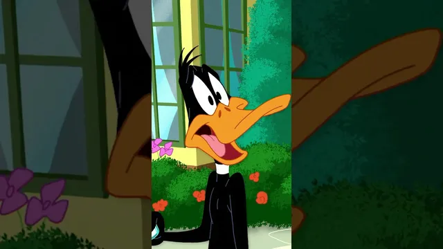 Daffy's Crazy Side Hustle 🦞 | Looney Tunes | Boomerang UK