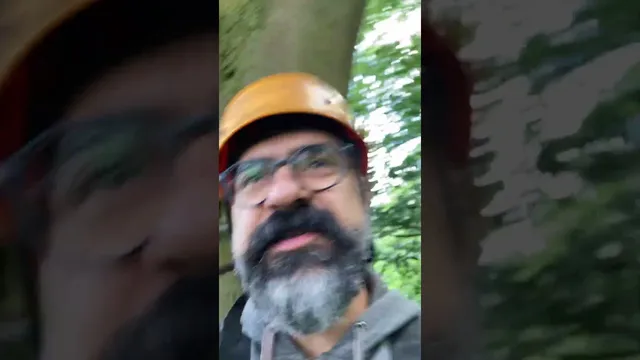 نمونه برتر برای مدیریت ریسک در بازار مالی