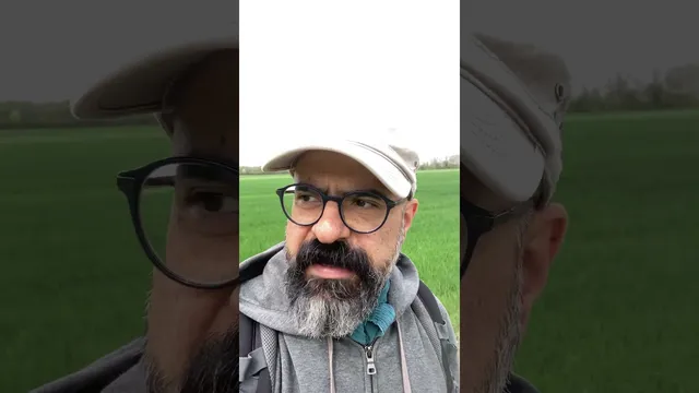 معامله‌گر! آماده شو برو بیرون و معامله کن!