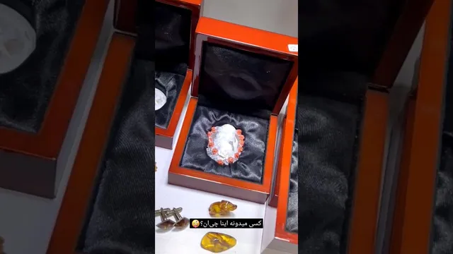 آیا کودکان اینها را می‌شناسند؟🥰 فراموش نکنید، فردا ویدیو جدید منتشر می‌شود🥳