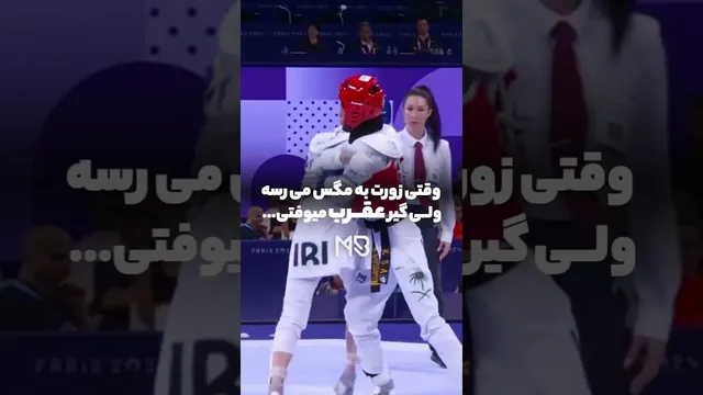 ماجرای جالب: وقتی در عربستان به دنبال مگس هستید و یک عقرب شما را می‌گرفت!