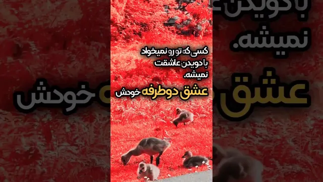رازهای خودشناسی و روانشناسی برای رشد شخصی