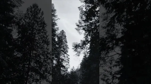 ترس نشانه‌ی ضعف نیست