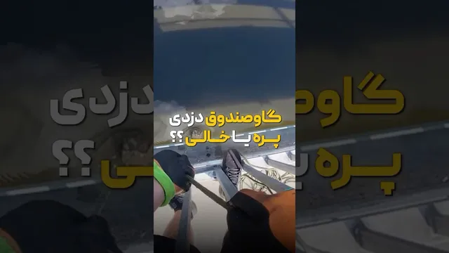 ماجرای گاوصندق