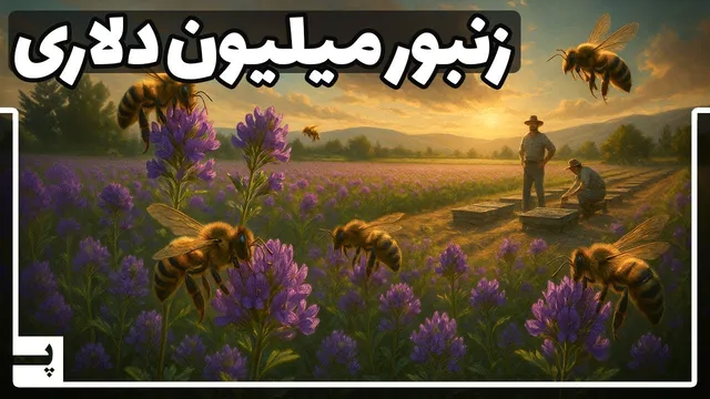 زنبور خاصی که اسمش را نشنیده‌اید اما میلیون‌ها دلار ارزش دارد
