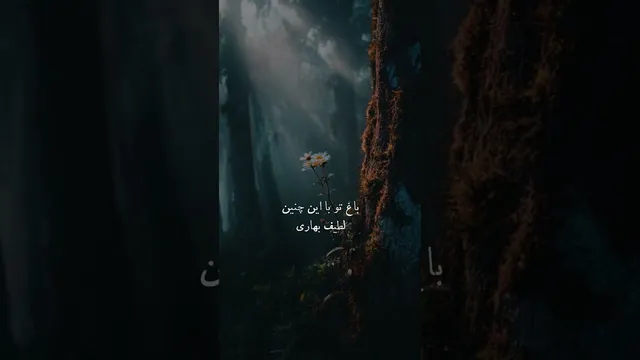 غزلی از مولانا در مورد عبور از عقل
