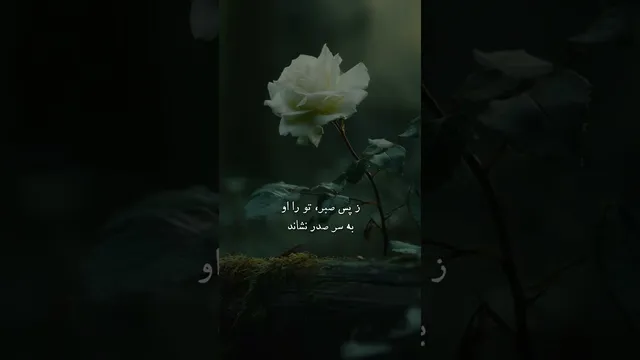 غزل زیبا از مولانا درباره راه‌های پنهان در بن‌بست‌ها | هله نومید نباشید