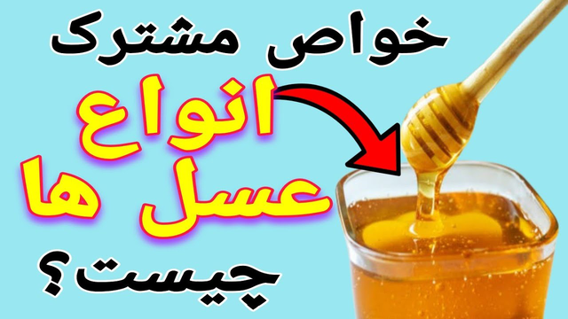 رازهای شگفت‌انگیز عسل: خواص ضدباکتری و آرامش‌بخش آن