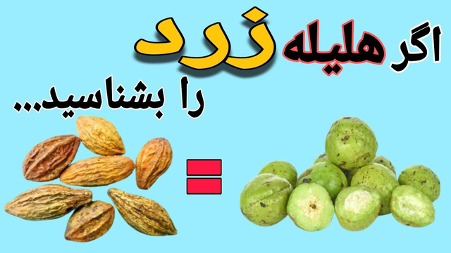 هلیه زرد: کشف گیاهی شگفت‌انگیز با خواص درمانی و کاربردهای فراوان