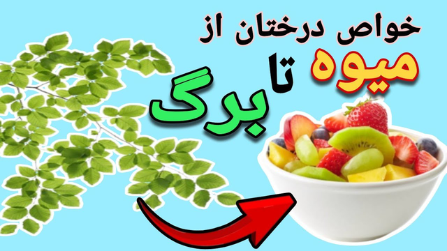 خواص شگفت‌انگیز درمانی برگ درختان: رازهای طبیعی برای سلامتی
