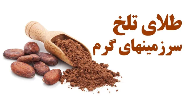 کاکاوو: دنیای جذاب شکلات و طعم‌های بی‌نظیر