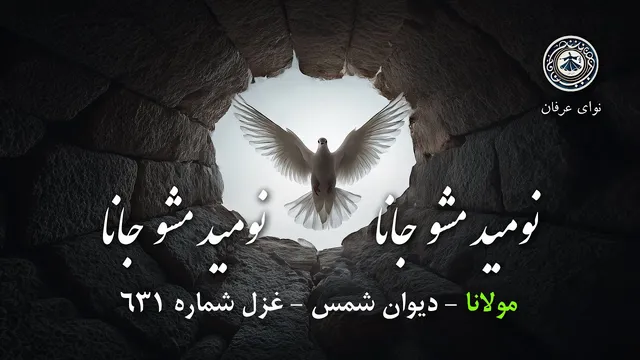 آهنگ نومید مشو جانا | غزل شماره 631 مولانا در قالب موسیقی