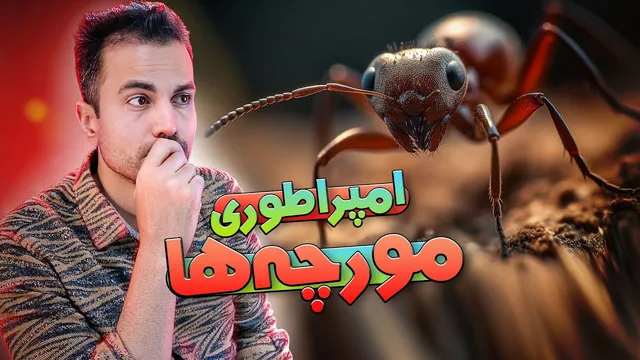 دنیای شگفت‌انگیز مورچه‌ها