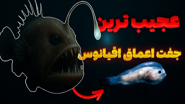 چگونه یک ماهی نر به عضو بدن ماده تبدیل می‌شود؟