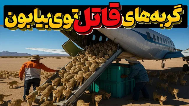 کشتن هزاران گربه‌ی قاتل در بیابان بدون آب: نتیجه‌ی شگفت‌انگیز