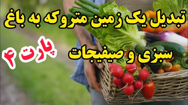 تبدیل زمین متروکه به باغی پر از سبزیجات و صیفی‌جات ارگانیک (پارت ۴)