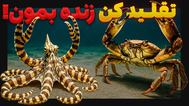 چگونه حیوانات با تقلید به بقای خود ادامه می‌دهند؟