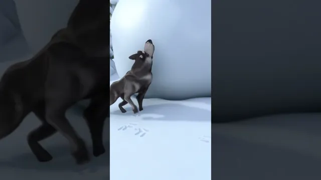 بزرگترین برف توپ! ❄️⛄️ ردپاهای حیوانات ناشناخته ماشا و خرس ویدیوهای کوتاه ماشین